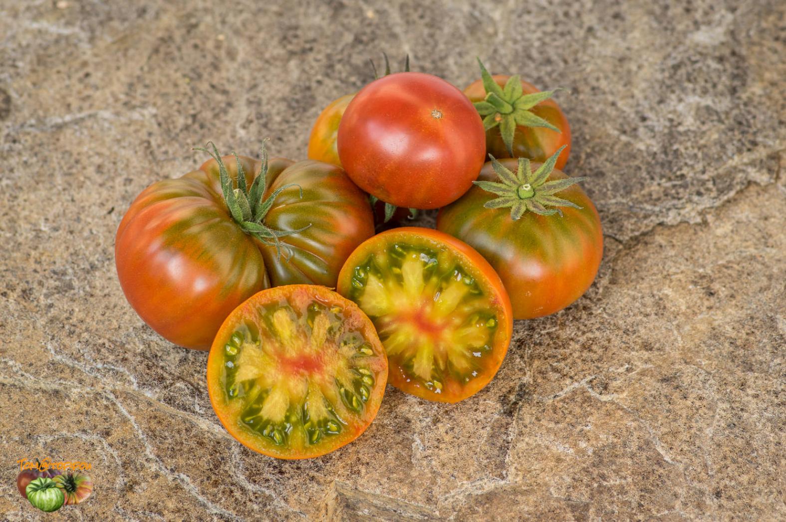 Томат Гном Медная Голова 4