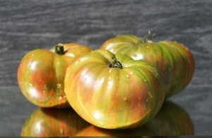 Томат Гном Мятные полосы