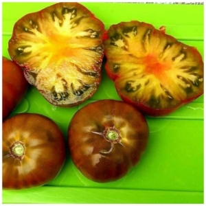 Томат Гном Пит Вайпер