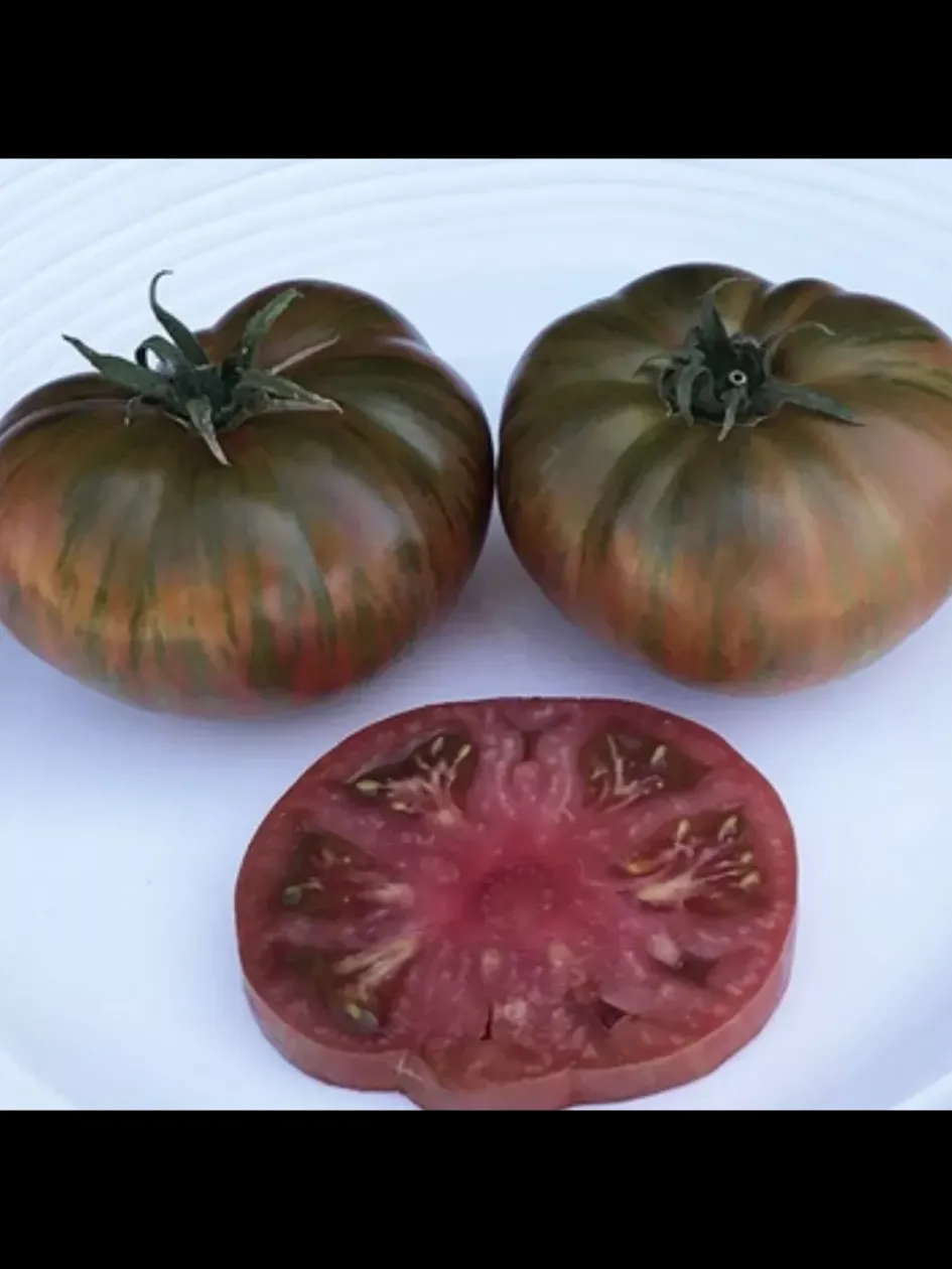 Томат Гном Шоколадная молния