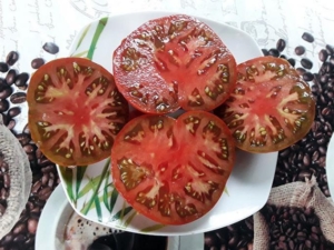 Томат Гном Шоколадный Чемпион