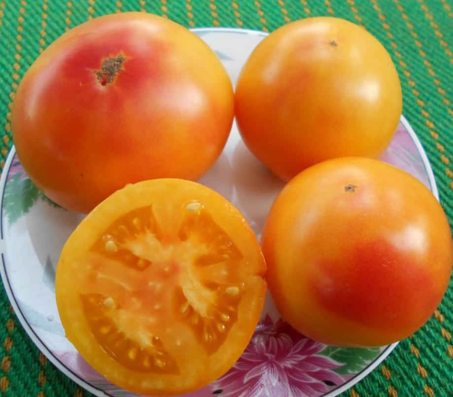 Томат Гном Сладкая Сью 3