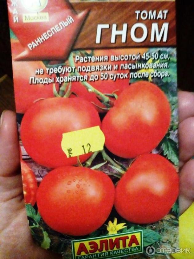 Томат Гном