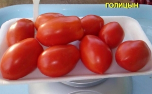 Томат Голицын
