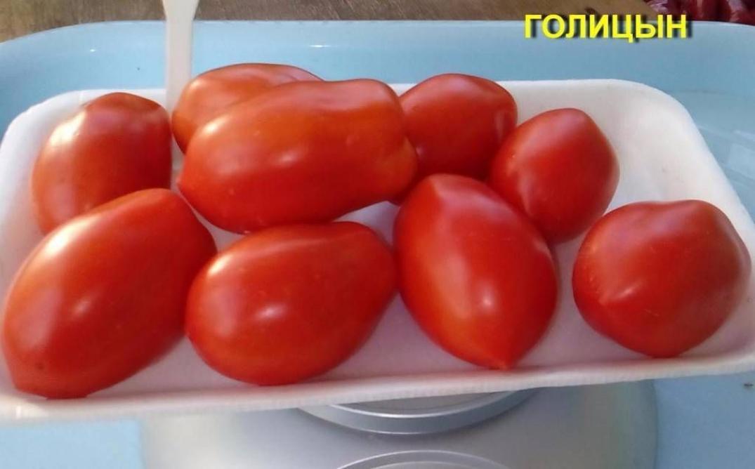Томат Голицын
