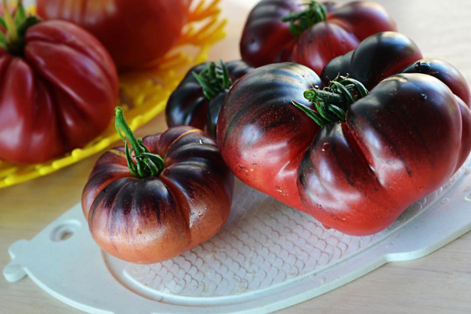 Томат Голубая красавица 2