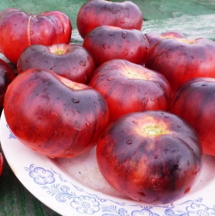 Томат Голубая красавица 3