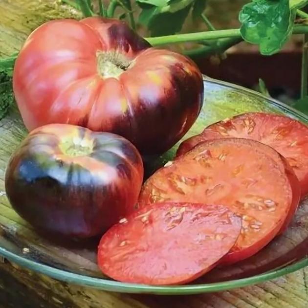 Томат Голубая красавица 5