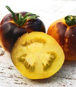 Томат Голубое золото