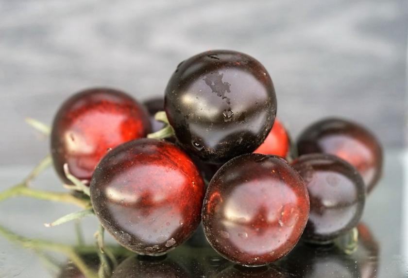 Томат Голубой лес 3