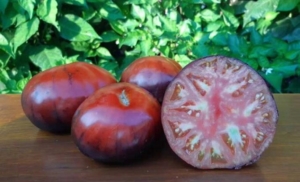 Томат Голубые небеса