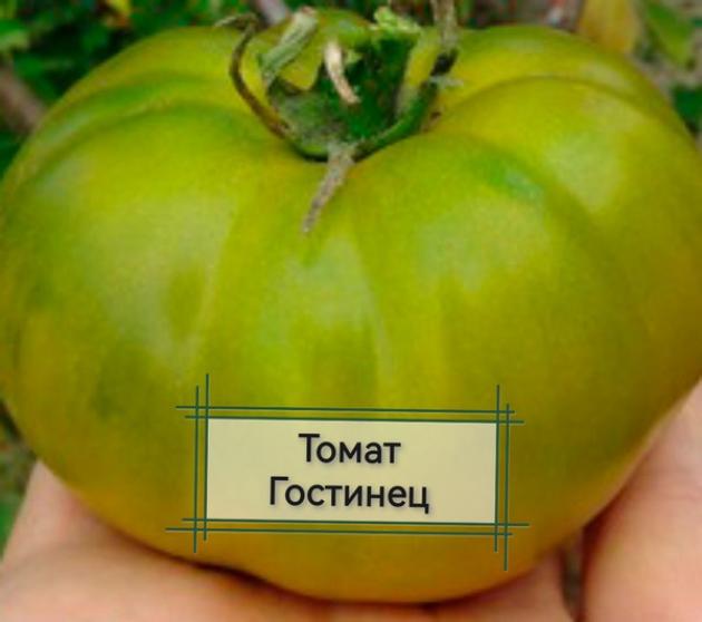 Томат Гостинец 2