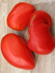 Томат Гребешки красные