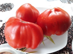 Томат Гребешок розовый