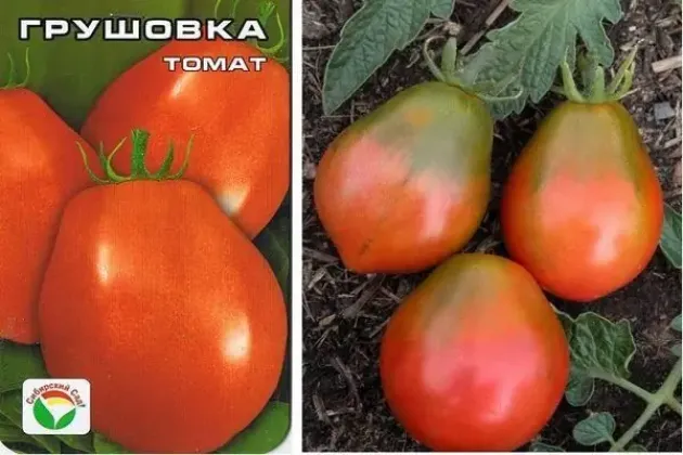 Томат Грушовка 2