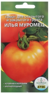 Томат Илья Муромец