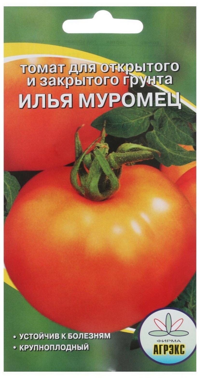 Томат Илья Муромец