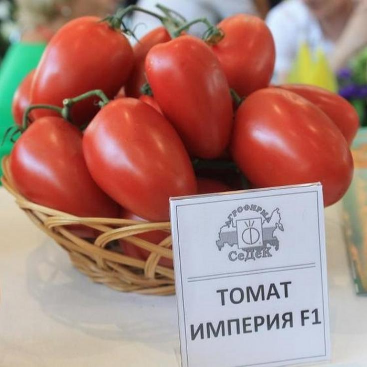 Томат Империя 2
