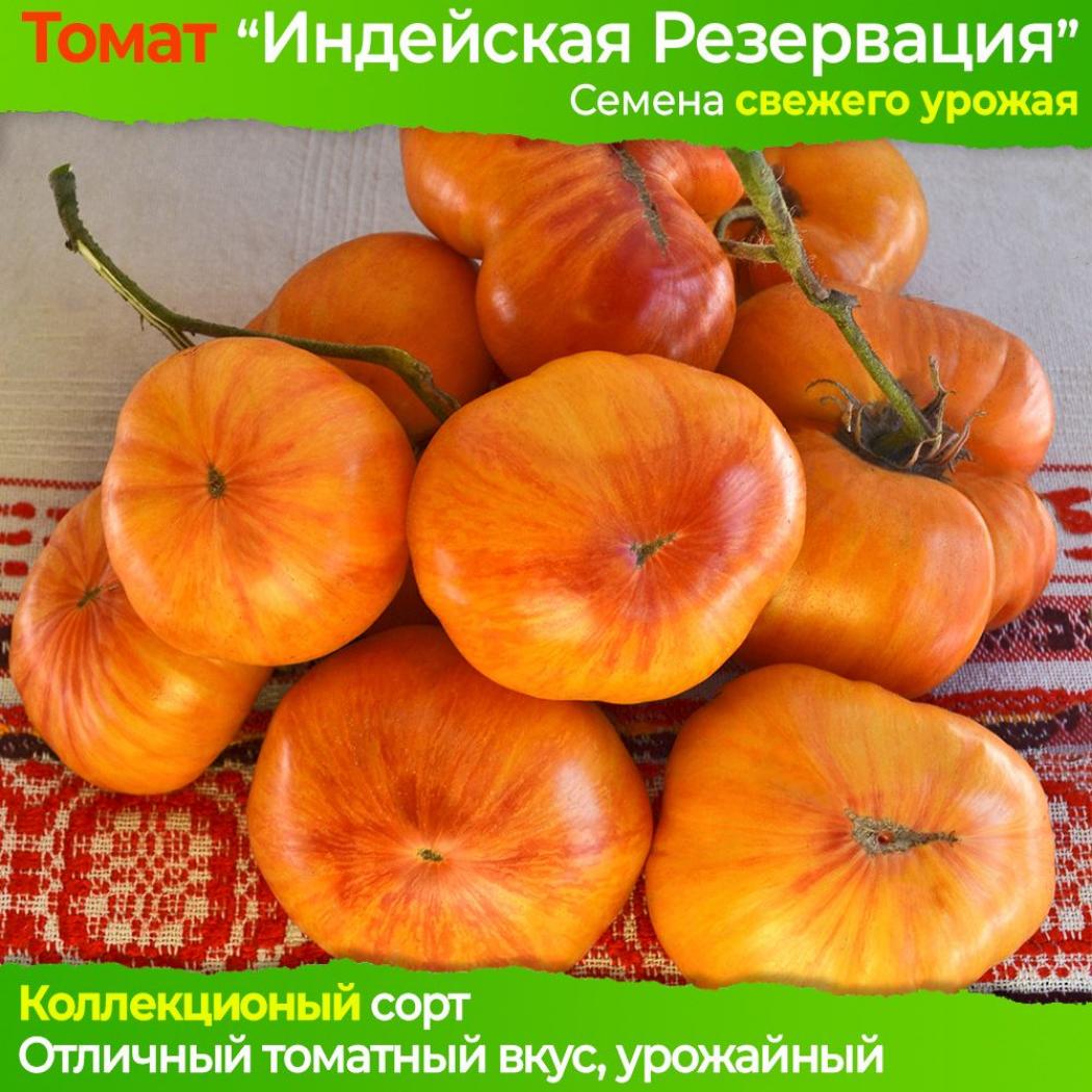 Томат Индейская резервация 2