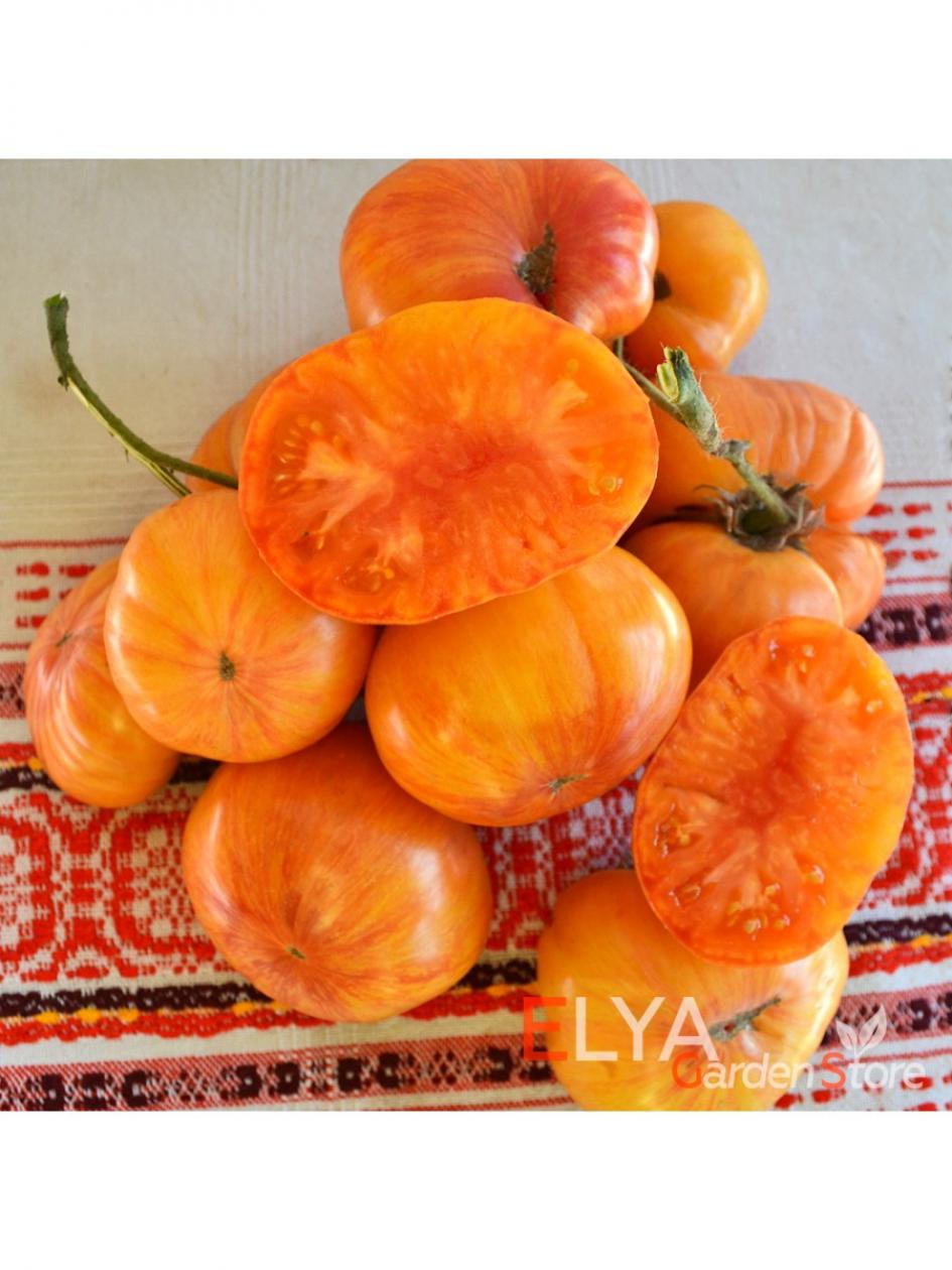 Томат Индейская резервация 4