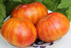 Томат Индейская резервация