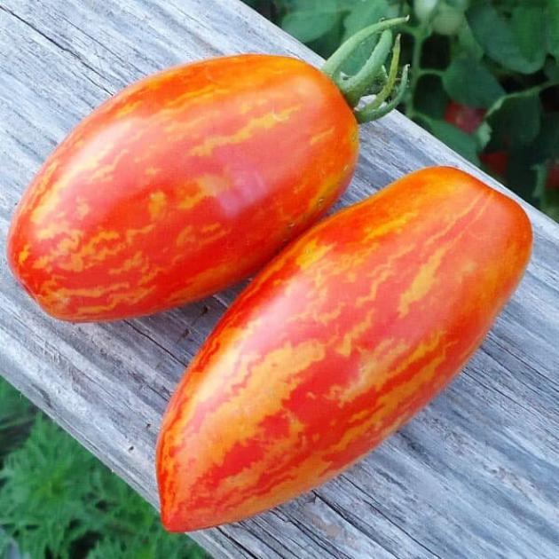Томат Искры пламени