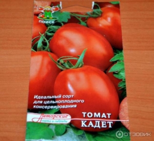 Томат Кадет