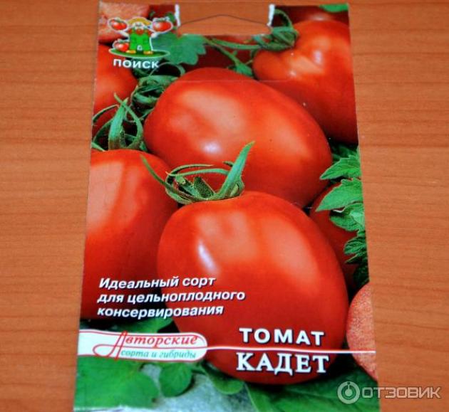 Томат Кадет