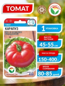 Томат Карапуз