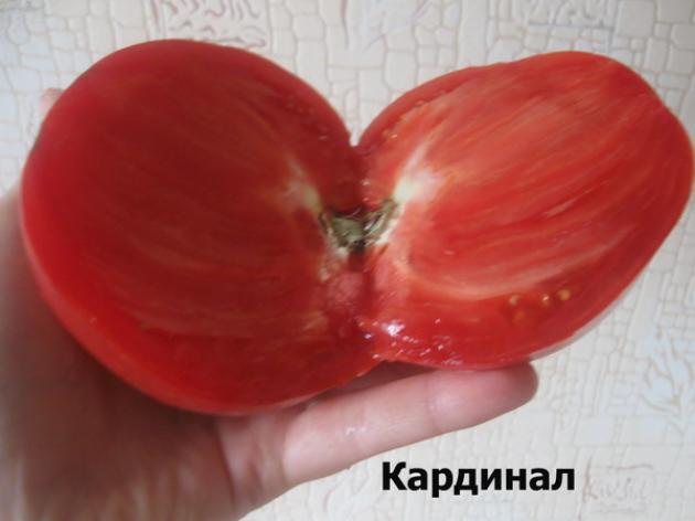 Томат Кардинал 3