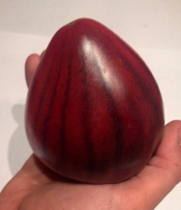 Томат Кас 21