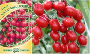 Томат Каскад коралловый