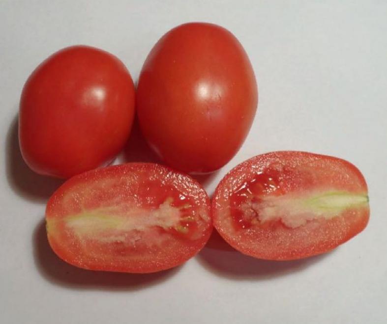 Томат Каскад красный