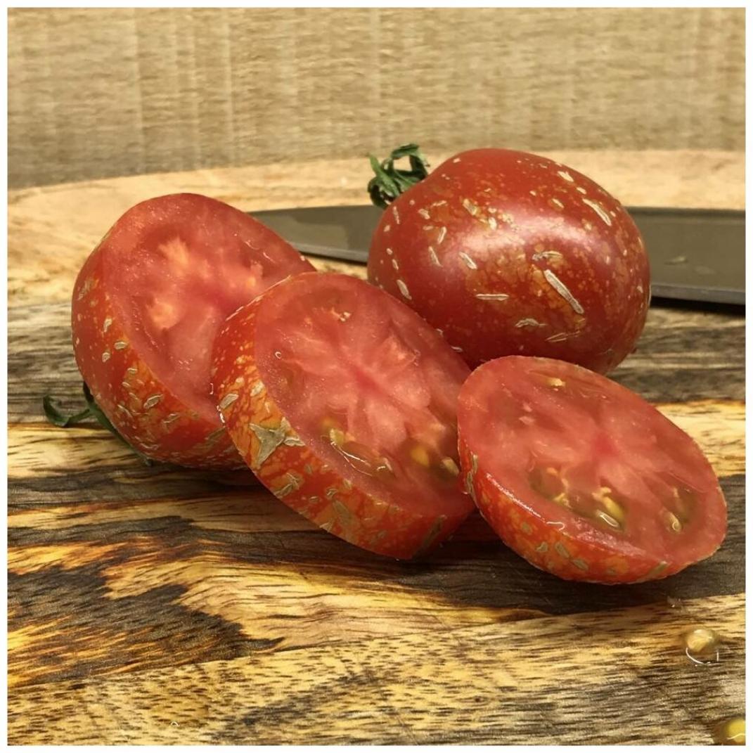 Томат Каскад Лава 6