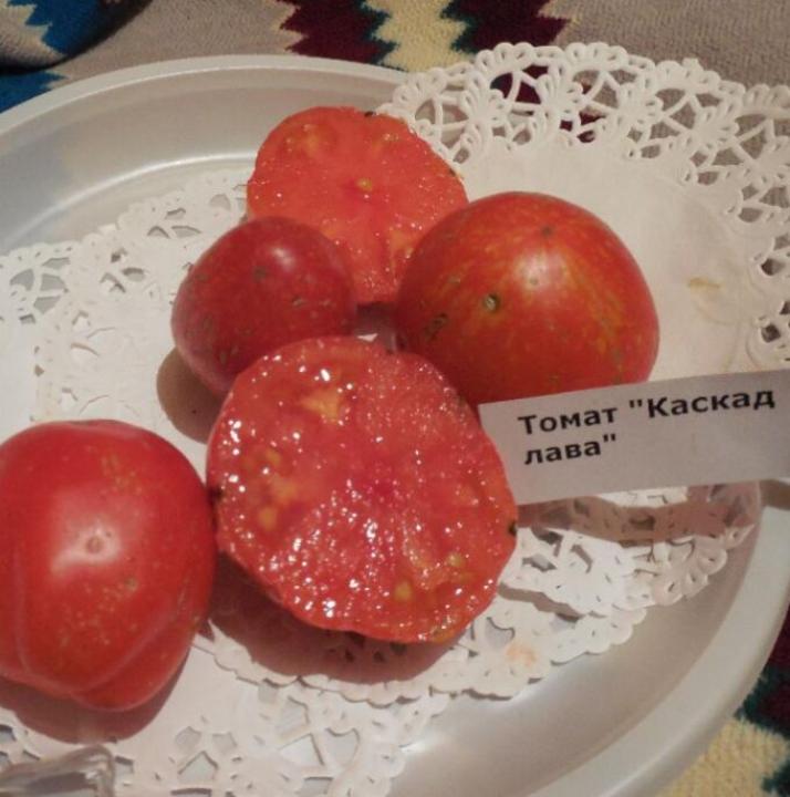 Томат Каскад Лава