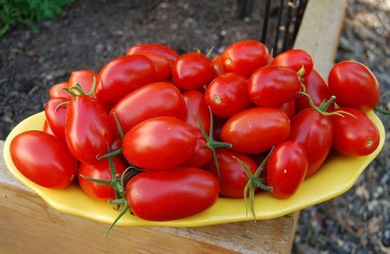 Томат Каскад рубиновый 2