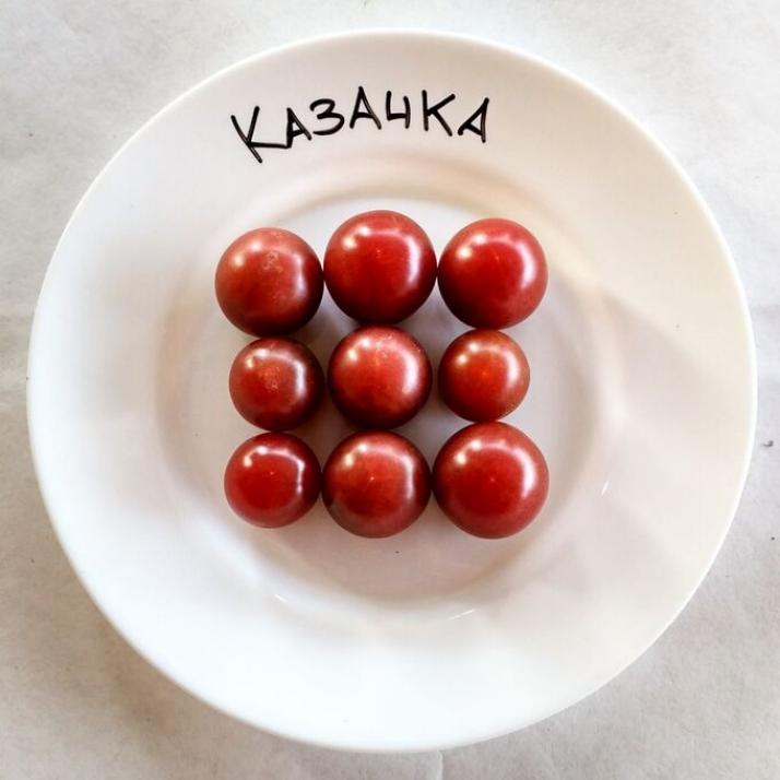 Томат Казачка 3