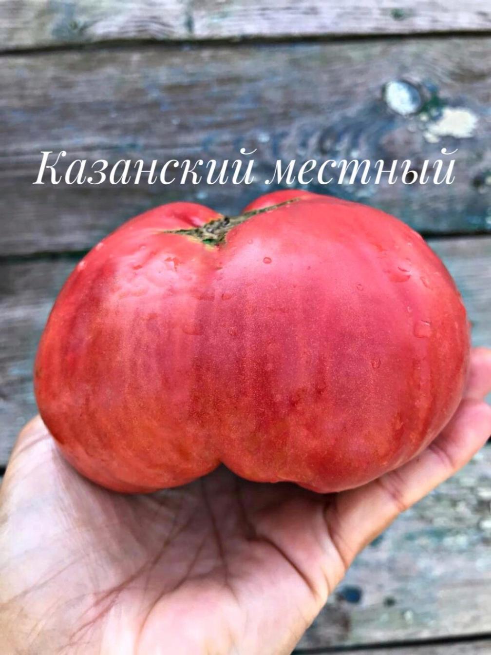 Томат Казанский местный 2