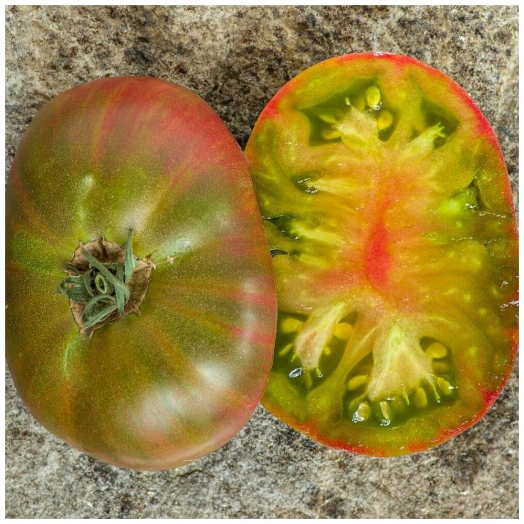 Томат Харвард сквер 2