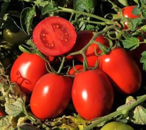 Томат Хайнц 3402