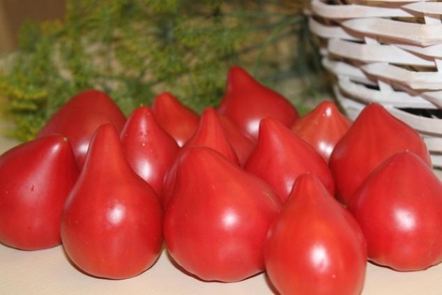 Томат Хейс 3