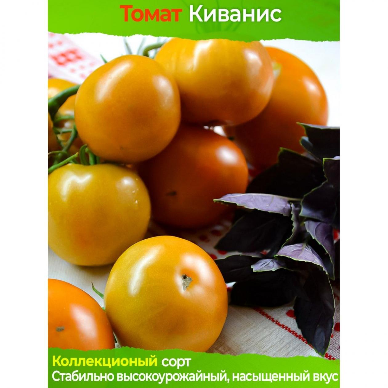 Томат Киванис