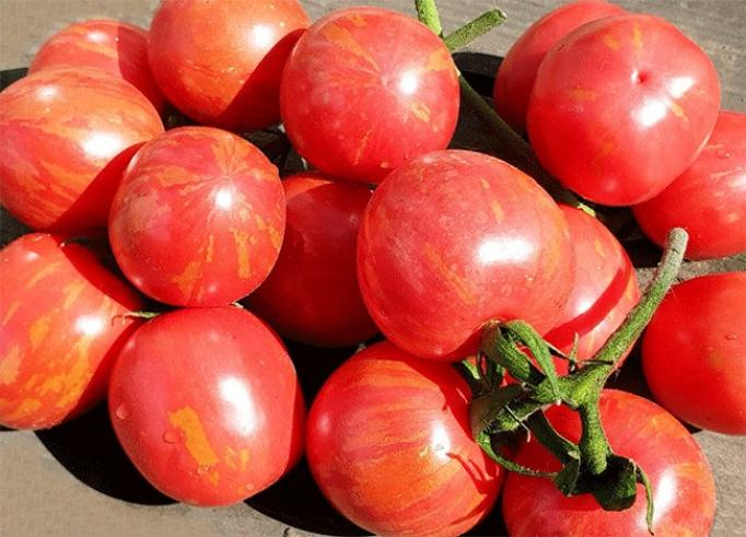 Томат Клубничный тигр 5