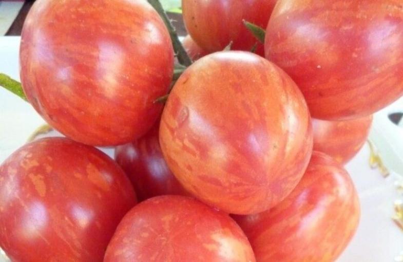 Томат Клубничный тигр