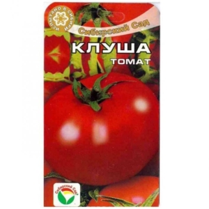 Томат Клуша