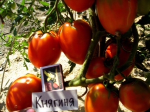 Томат Княгиня