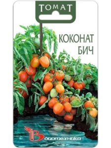 Томат Коконат Бич
