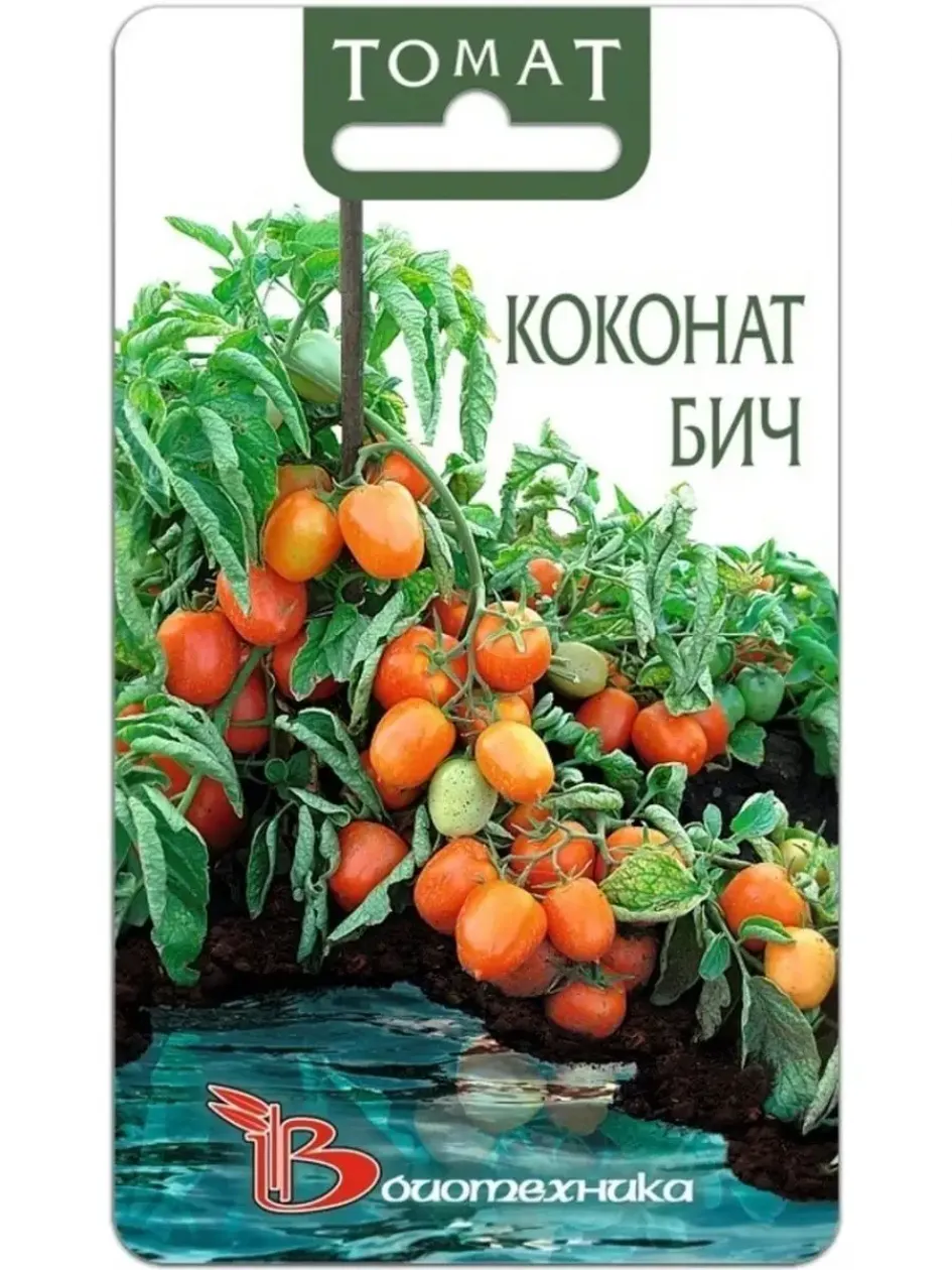 Томат Коконат Бич