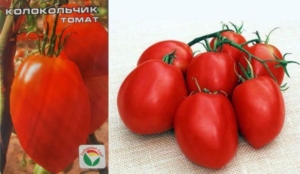 Томат Колокольчик