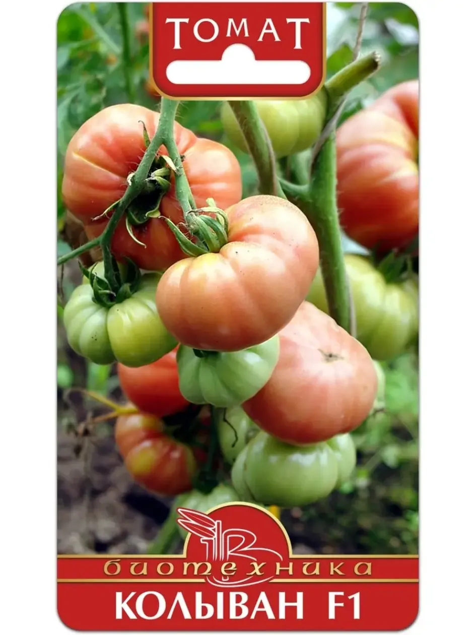 Томат Колыван